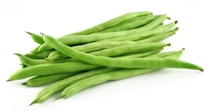 Fasole Pastai Saxa - Seminte Fasole Pastai Soi Semitimpuriu Italia, 80 grame, Opal